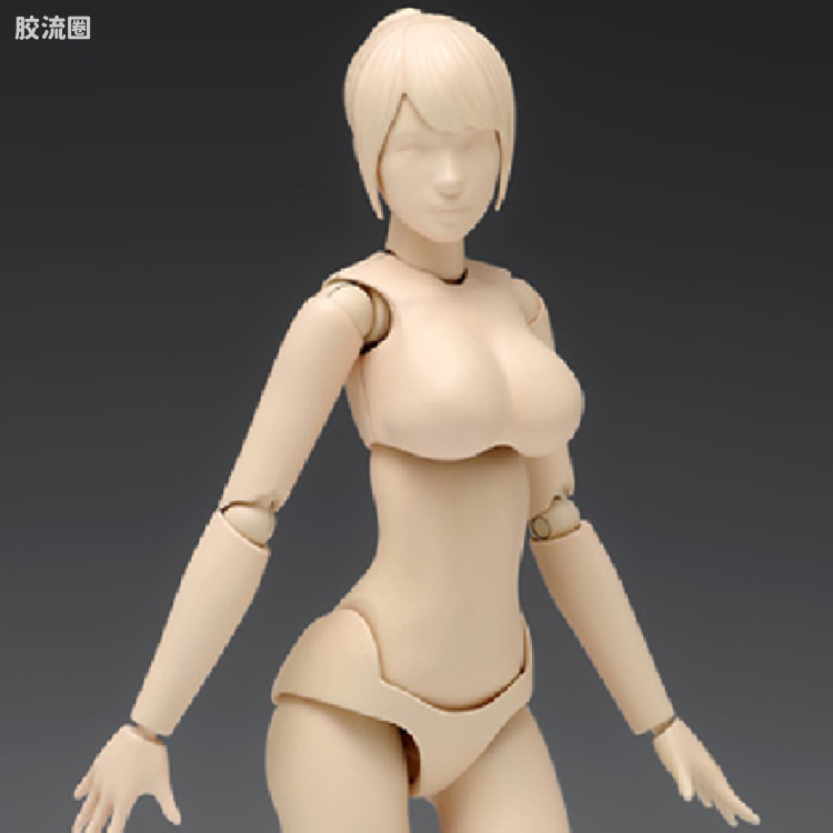 WAVE拼装综合系列 MOVABLE BODY スケール ムーバブルボディ 女性型［Cバージョン］