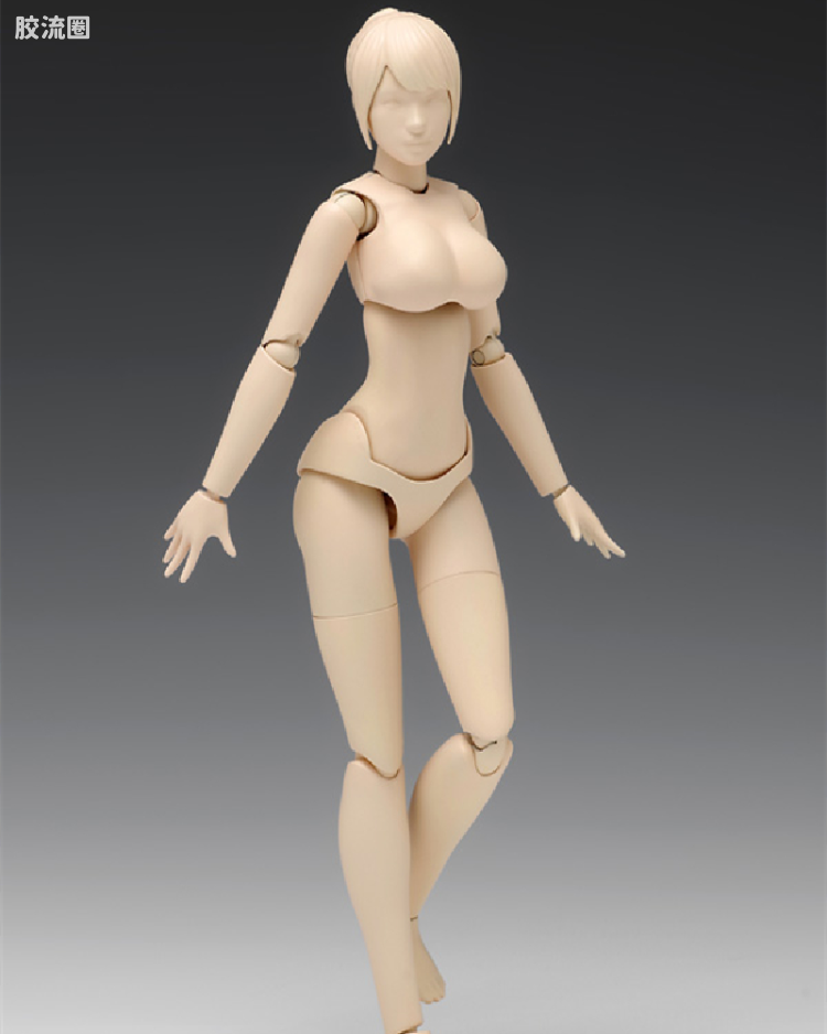 スケール ムーバブルボディ 女性型［Cバージョン］