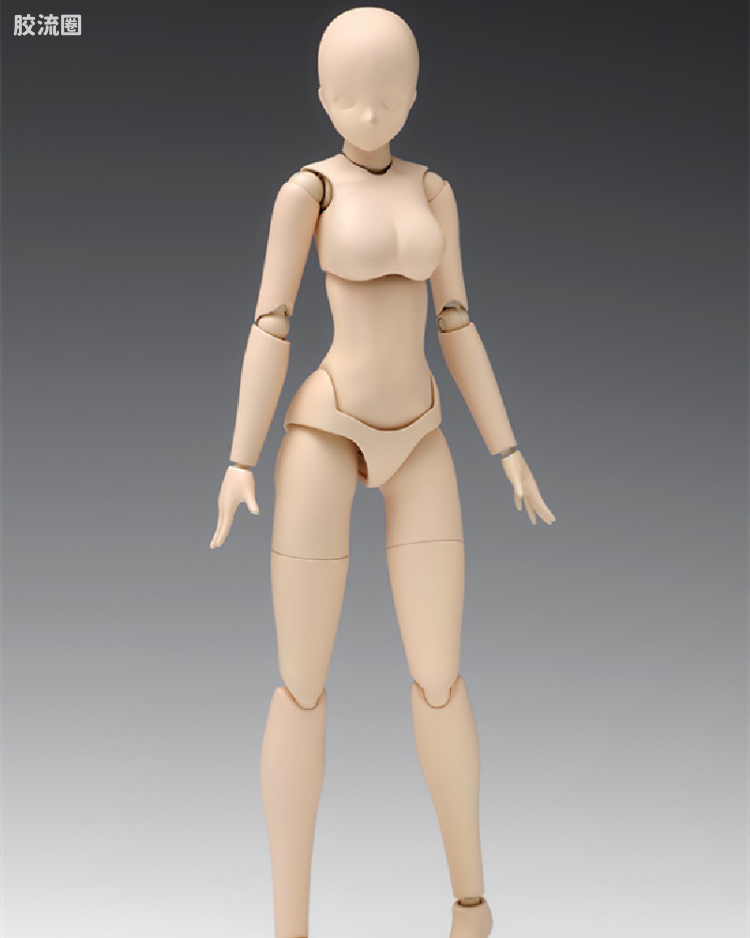 スケール ムーバブルボディ 女性型［スタンダード］