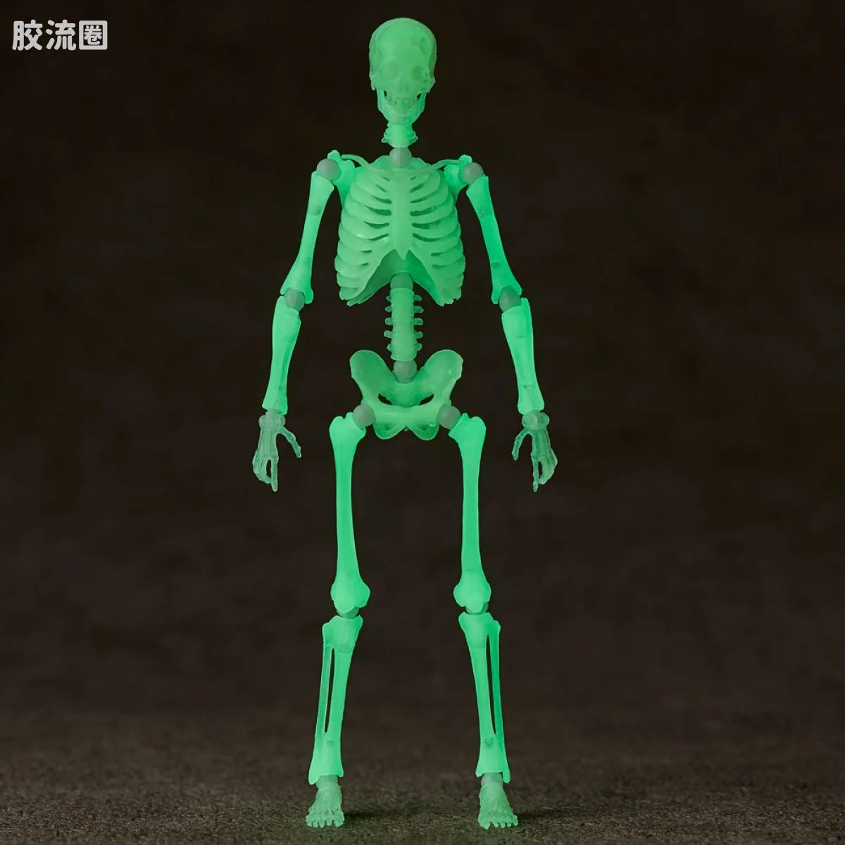 竹谷式自在置物 竹谷式自在置物 KT-032 骸骨鱼兜斗士 Murmillo 夜光版 - 图片