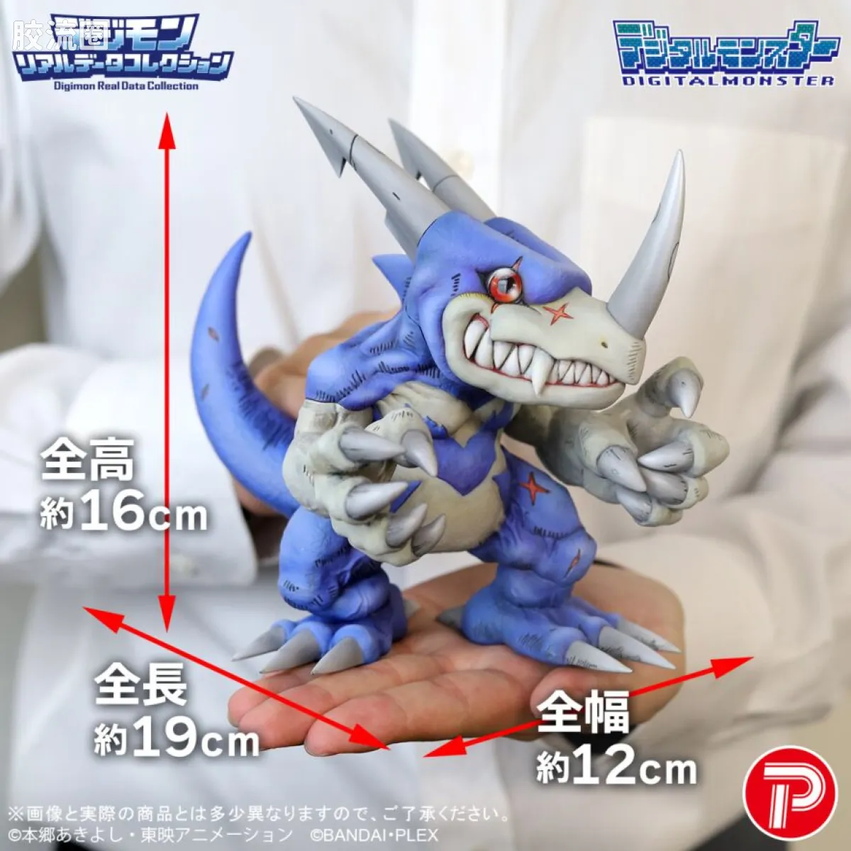 Digimon Real Data Collection 普通版 V龙兽 - 图片