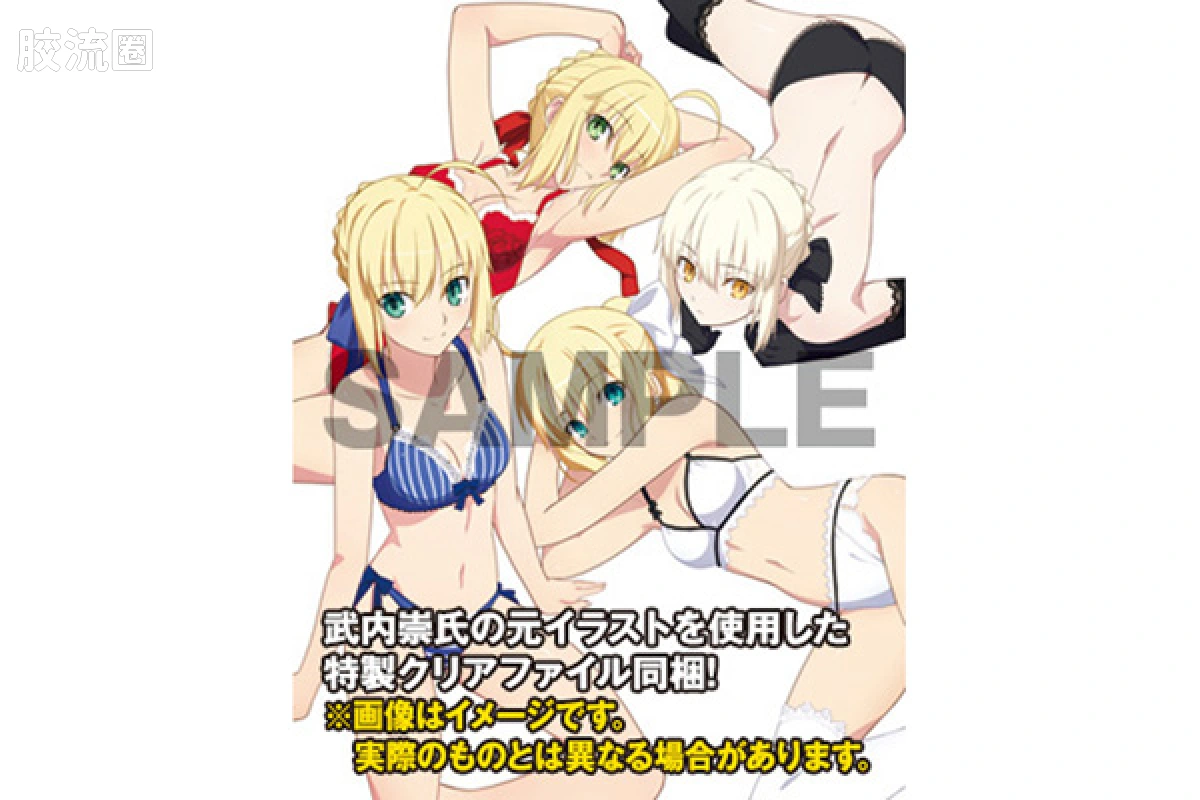 WAVE DreamTech系列 Lingerie styles系列 saber 特别版 - 图片