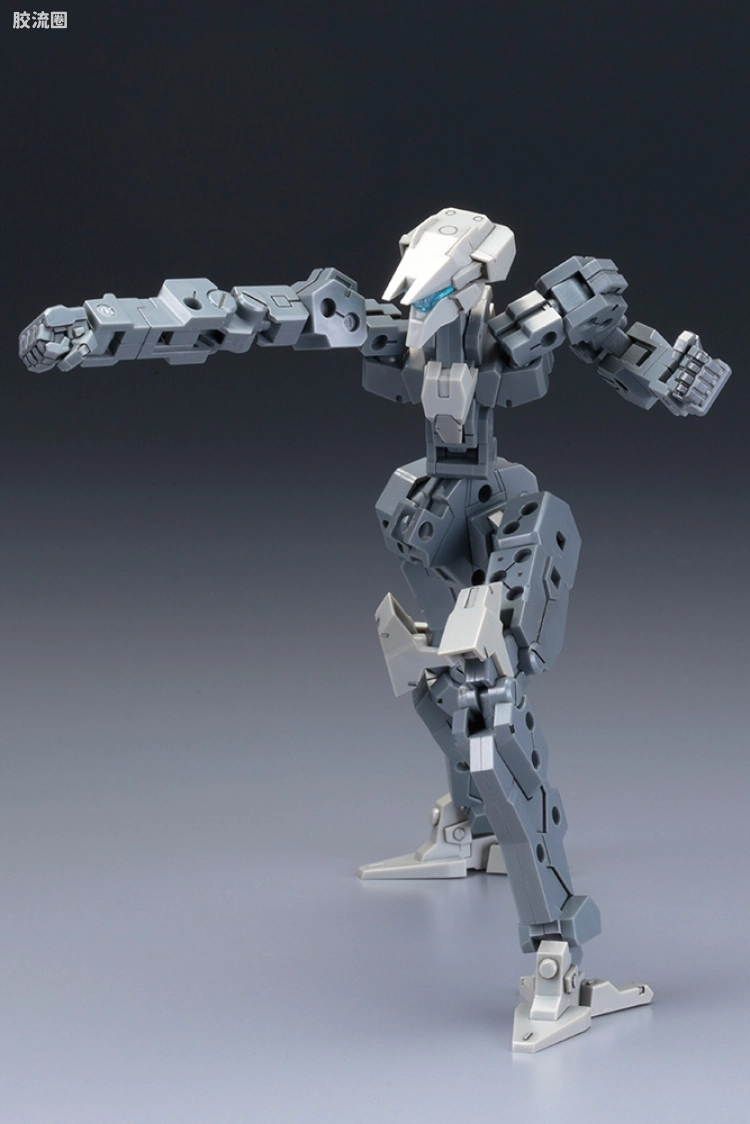 寿屋FRAME ARMS 骨架 TYPE-001 通用骨架(灰色) :RE - 图片