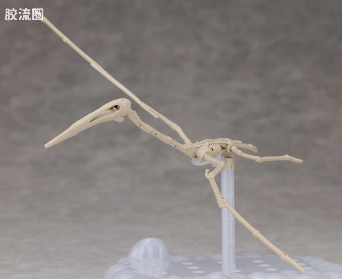 万代综合拼装模型系列 Plannosaurus <侏罗纪世界 重生> 风神翼龙 - 图片