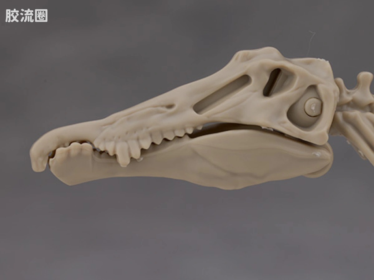 万代综合拼装模型系列 Plannosaurus <侏罗纪世界 重生> 棘龙 - 图片
