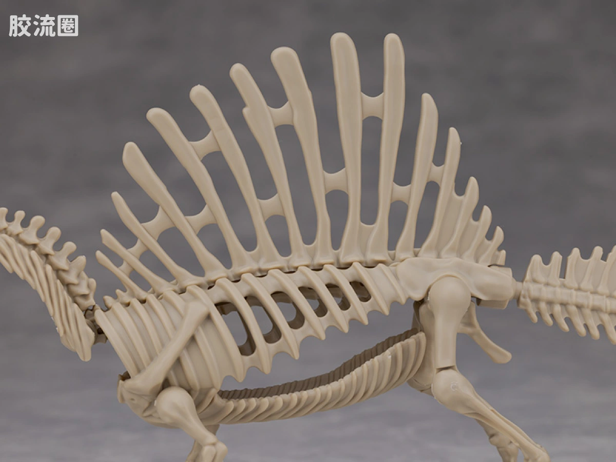 万代综合拼装模型系列 Plannosaurus <侏罗纪世界 重生> 棘龙 - 图片