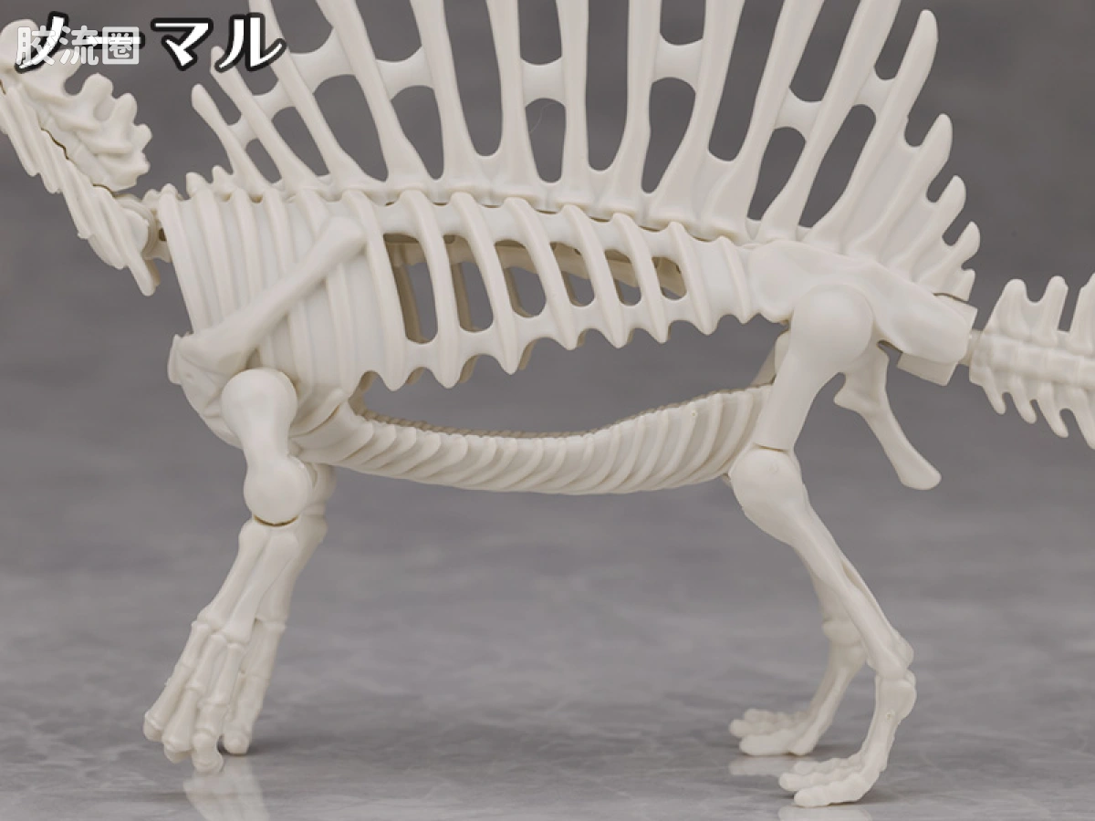 万代综合拼装模型系列 Plannosaurus <侏罗纪世界 重生> 棘龙 - 图片
