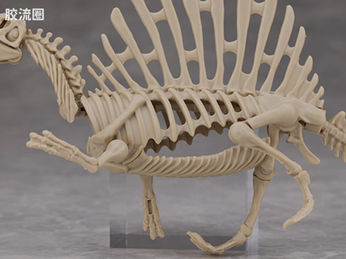 万代综合拼装模型系列 Plannosaurus <侏罗纪世界 重生> 棘龙 - 图片