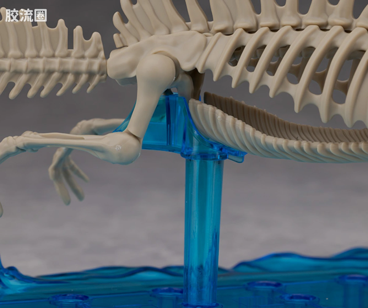 万代综合拼装模型系列 Plannosaurus <侏罗纪世界 重生> 棘龙 - 图片