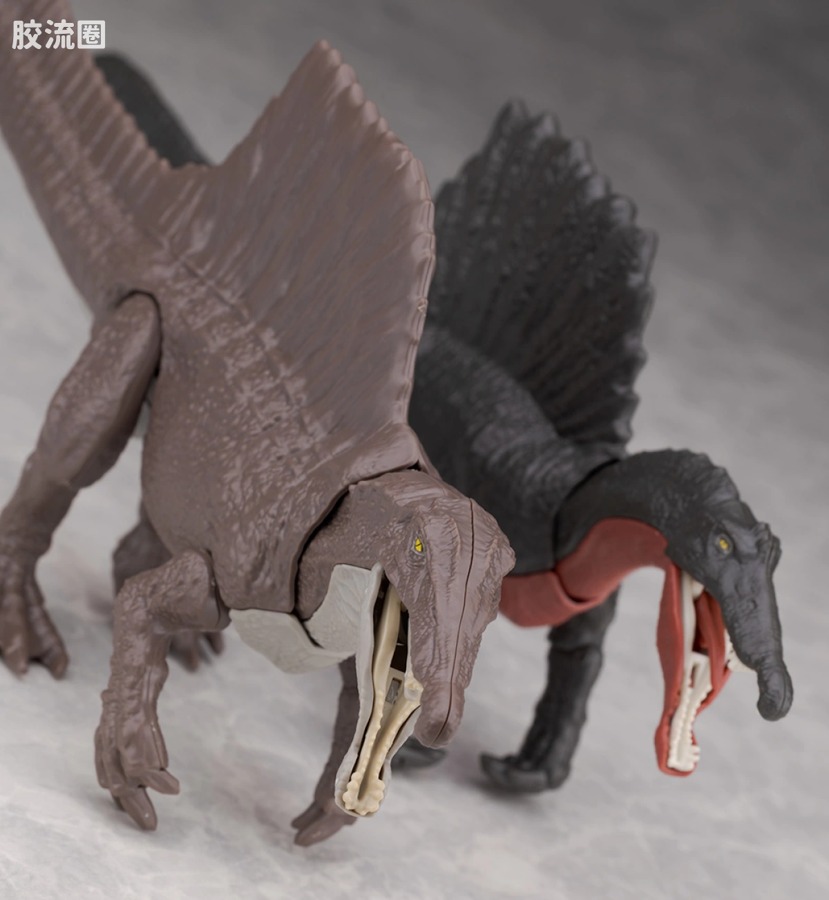 万代综合拼装模型系列 Plannosaurus <侏罗纪世界 重生> 棘龙 - 图片