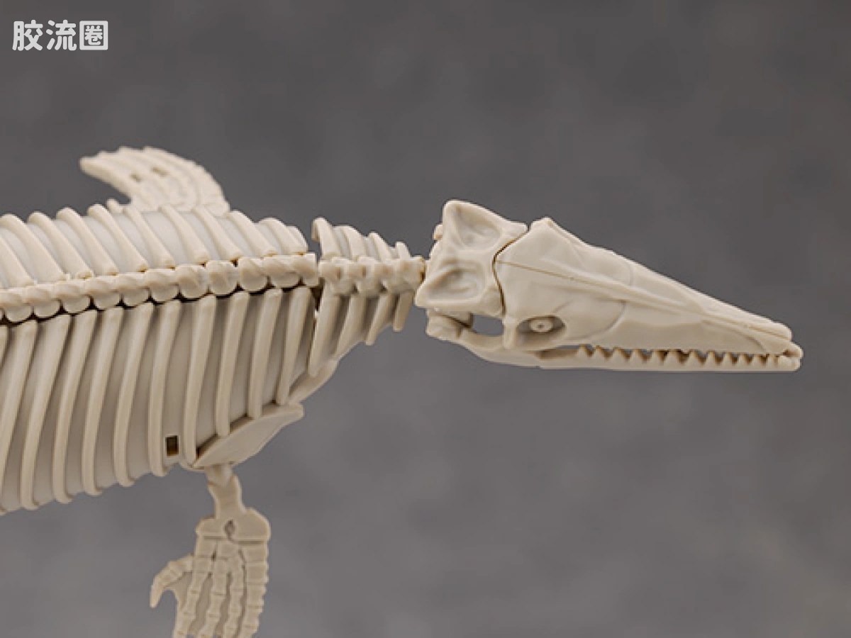 万代综合拼装模型系列 Plannosaurus <侏罗纪世界 重生> 沧龙 - 图片