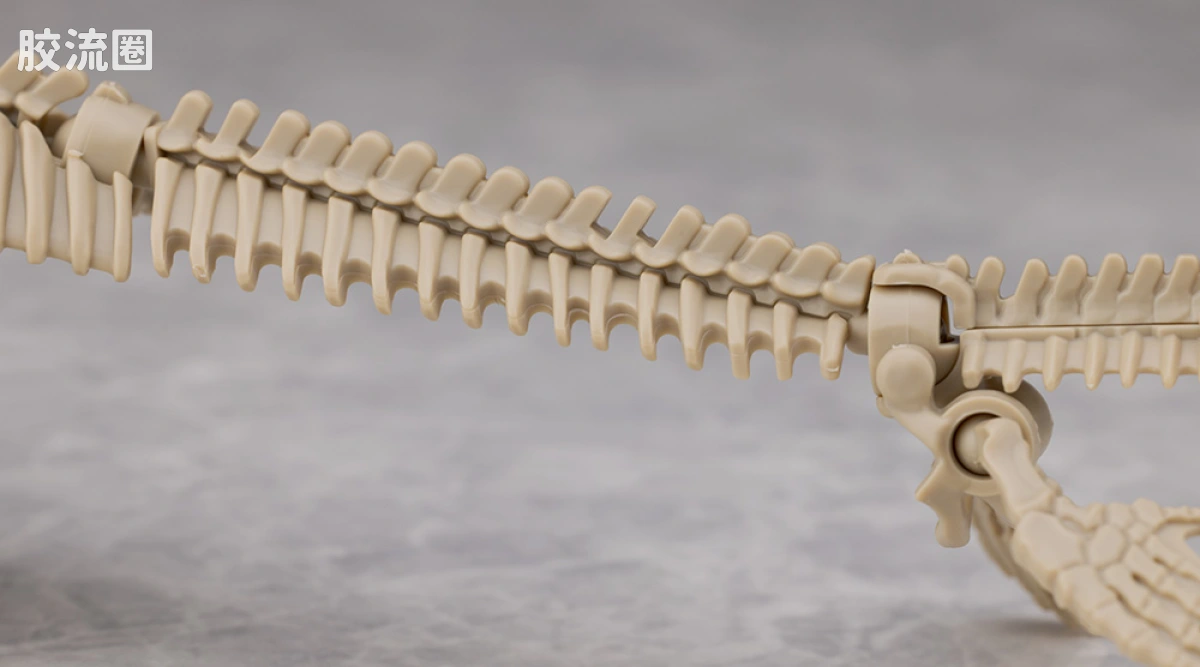 万代综合拼装模型系列 Plannosaurus <侏罗纪世界 重生> 沧龙 - 图片