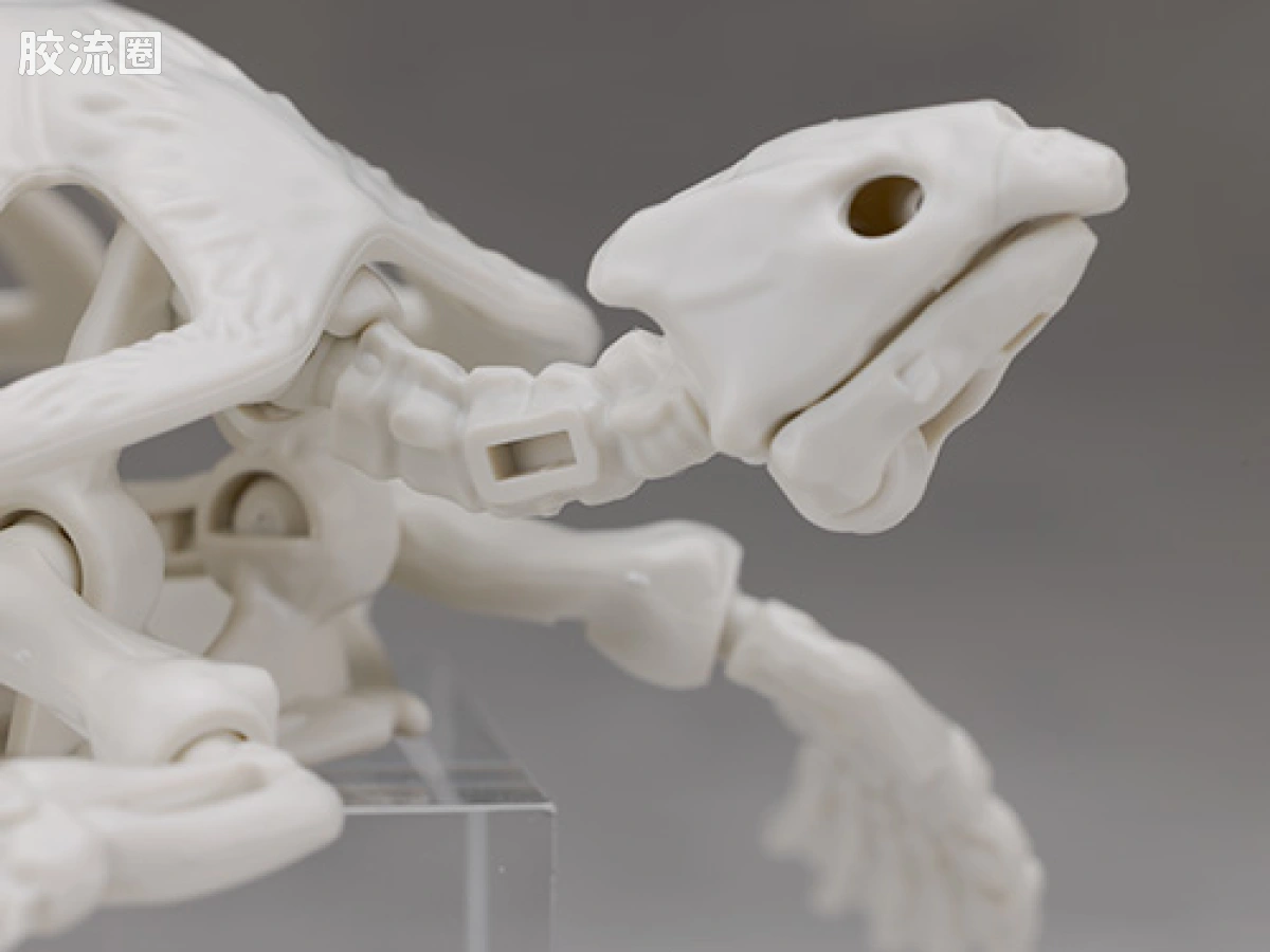 万代综合拼装模型系列 Plannosaurus 古巨龟 - 图片