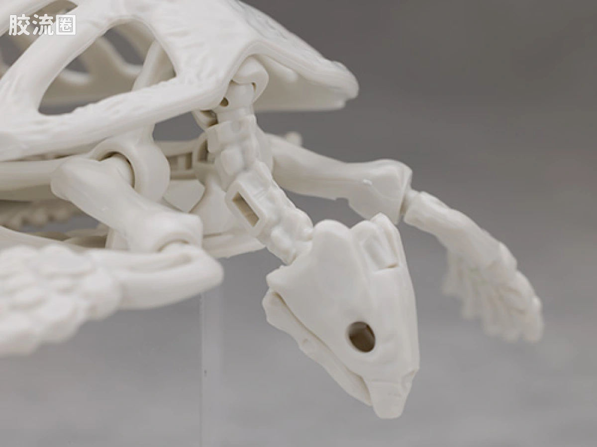 万代综合拼装模型系列 Plannosaurus 古巨龟 - 图片