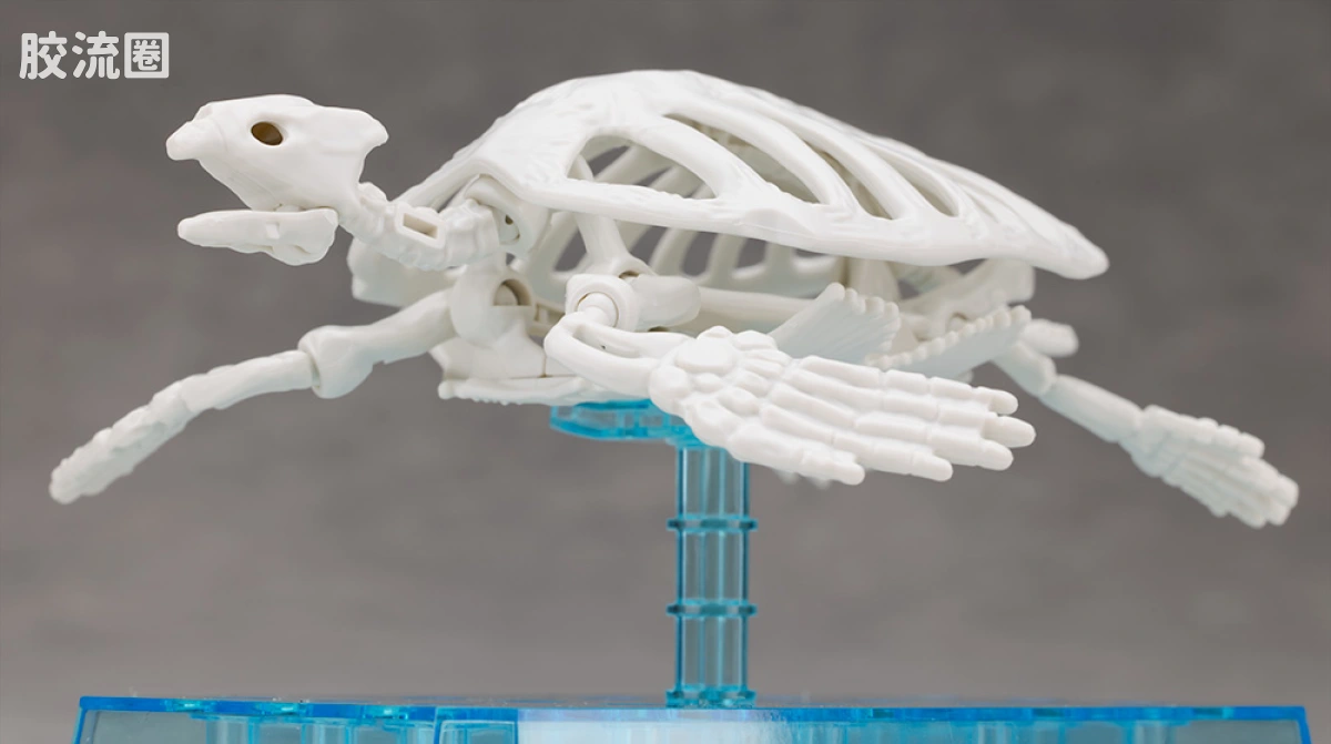 万代综合拼装模型系列 Plannosaurus 古巨龟 - 图片