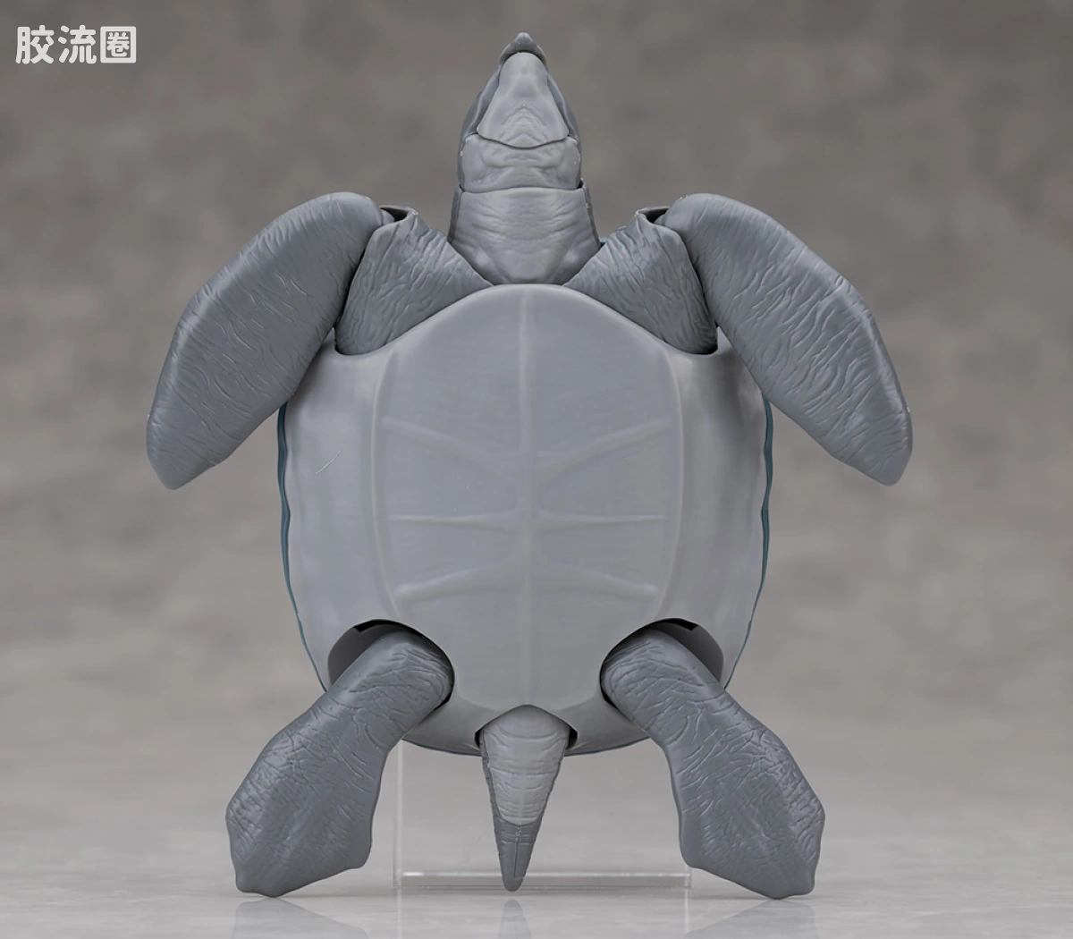 万代综合拼装模型系列 Plannosaurus 古巨龟 - 图片