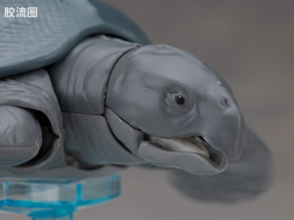 万代综合拼装模型系列 Plannosaurus 古巨龟 - 图片