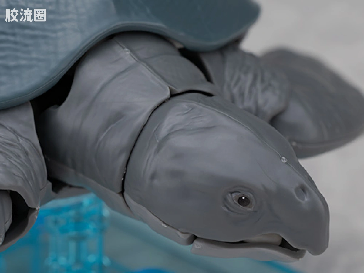万代综合拼装模型系列 Plannosaurus 古巨龟 - 图片