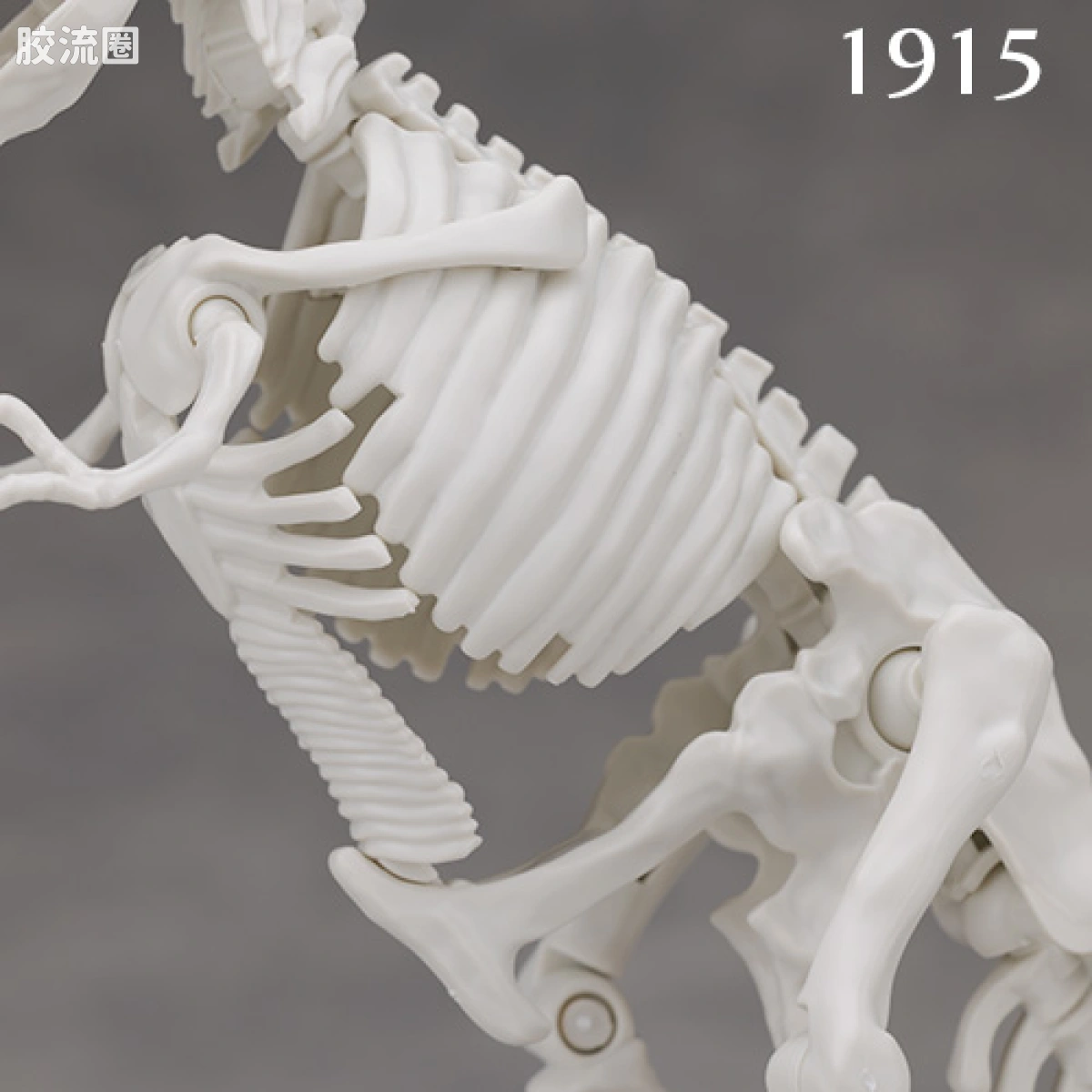万代综合拼装模型系列 Plannosaurus 霸王龙1915 - 图片
