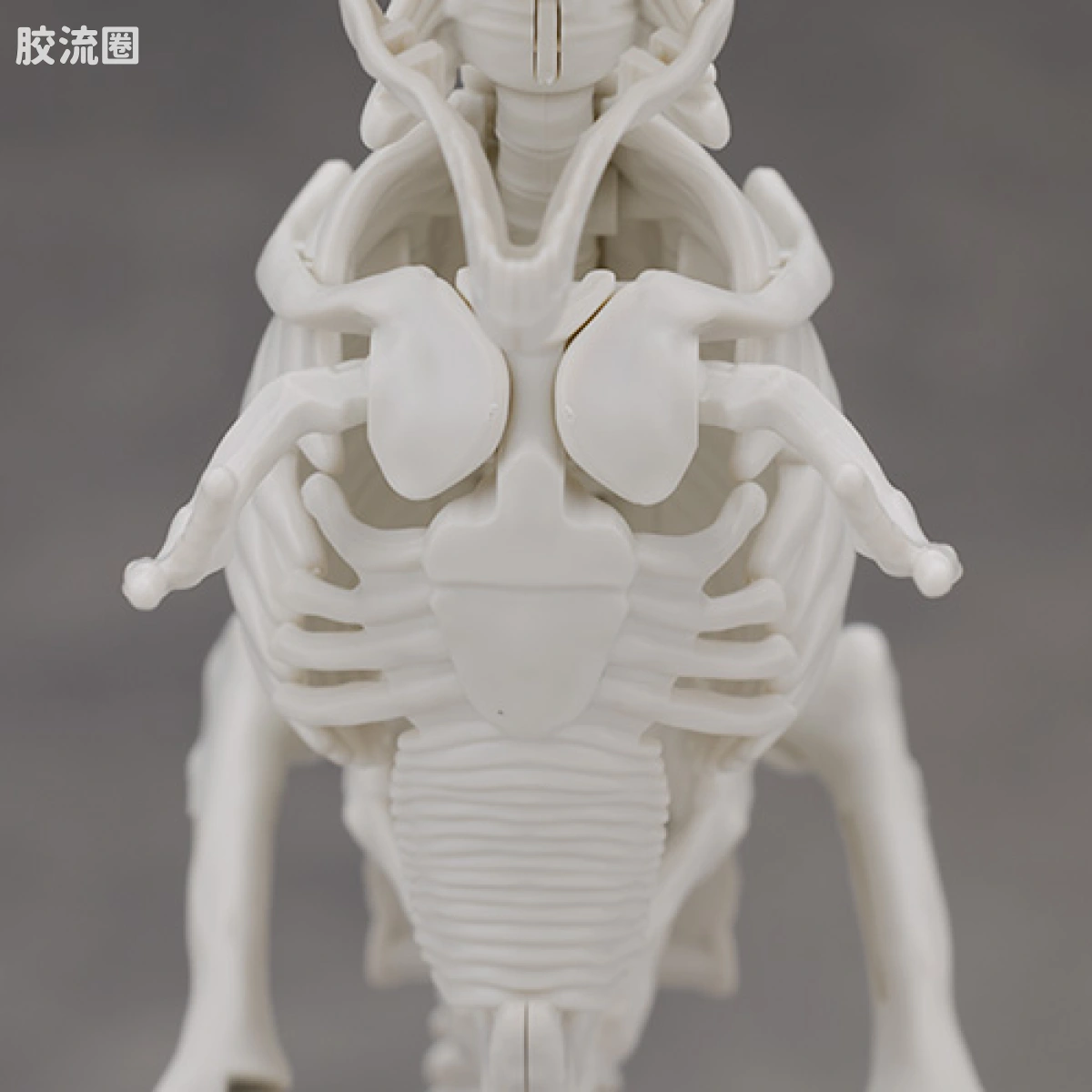 万代综合拼装模型系列 Plannosaurus 霸王龙1915 - 图片