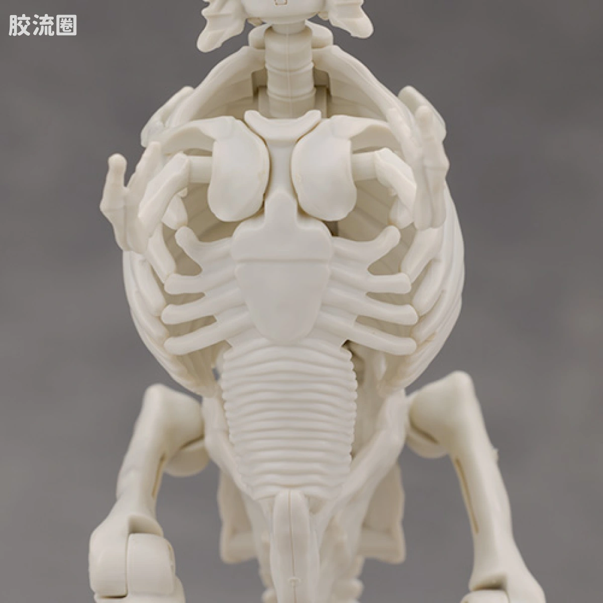 万代综合拼装模型系列 Plannosaurus 霸王龙1915 - 图片