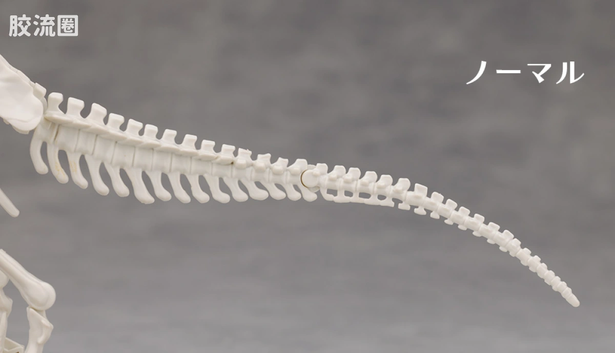 万代综合拼装模型系列 Plannosaurus 霸王龙1915 - 图片