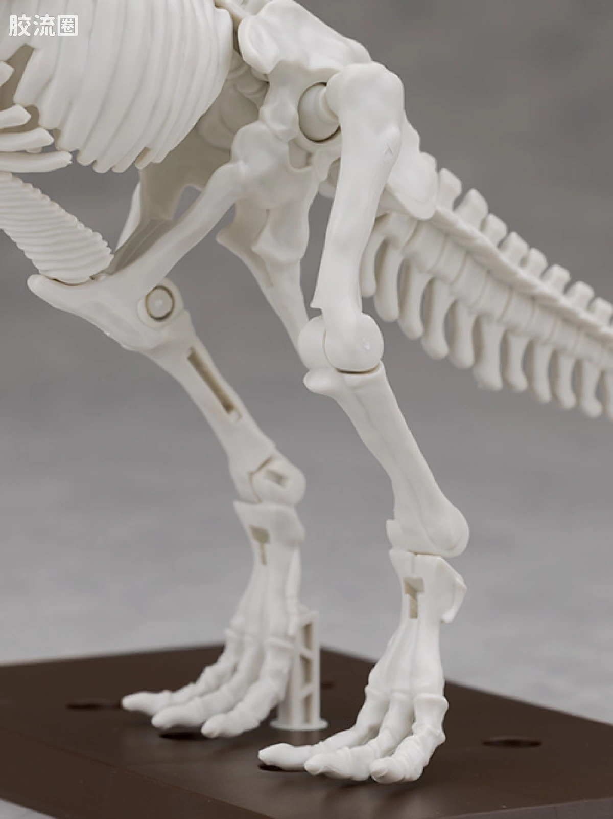 万代综合拼装模型系列 Plannosaurus 霸王龙1915 - 图片