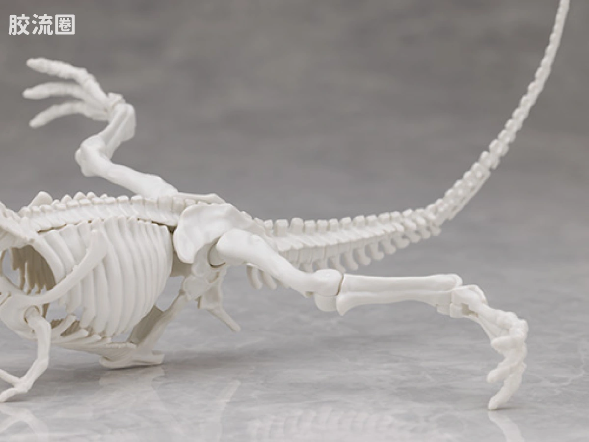 万代综合拼装模型系列 Plannosaurus 霸王龙1915 - 图片
