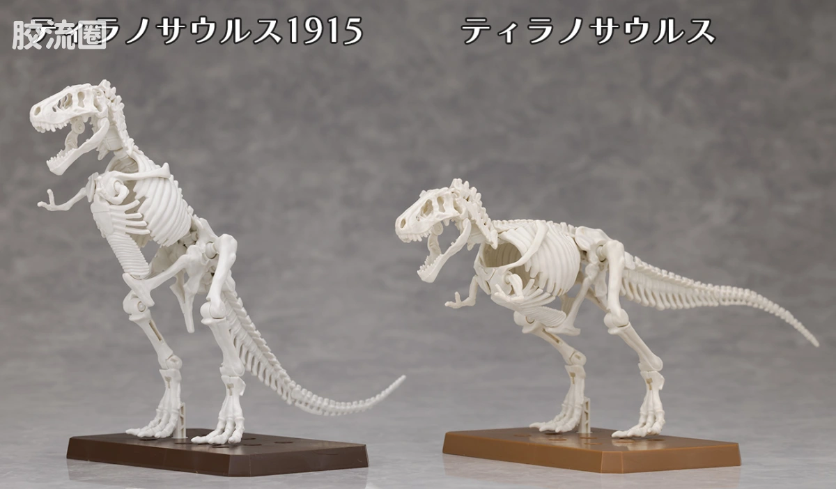 万代综合拼装模型系列 Plannosaurus 霸王龙1915 - 图片