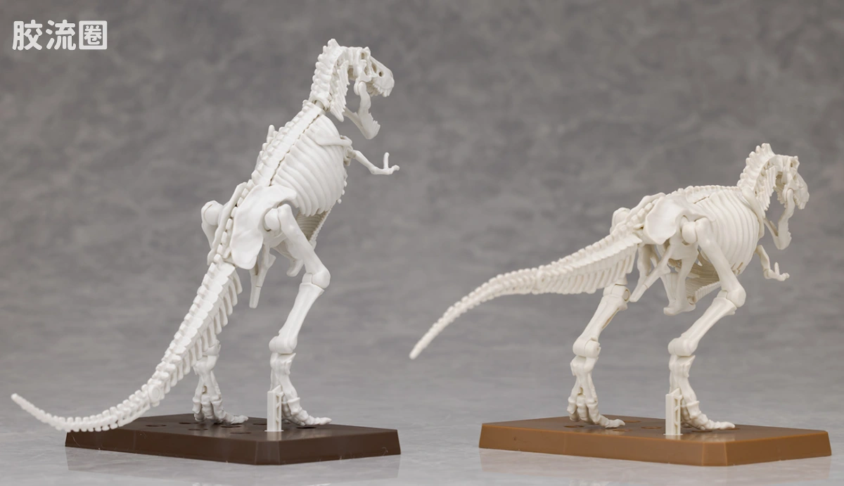 万代综合拼装模型系列 Plannosaurus 霸王龙1915 - 图片