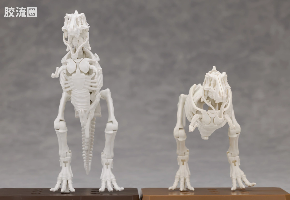 万代综合拼装模型系列 Plannosaurus 霸王龙1915 - 图片