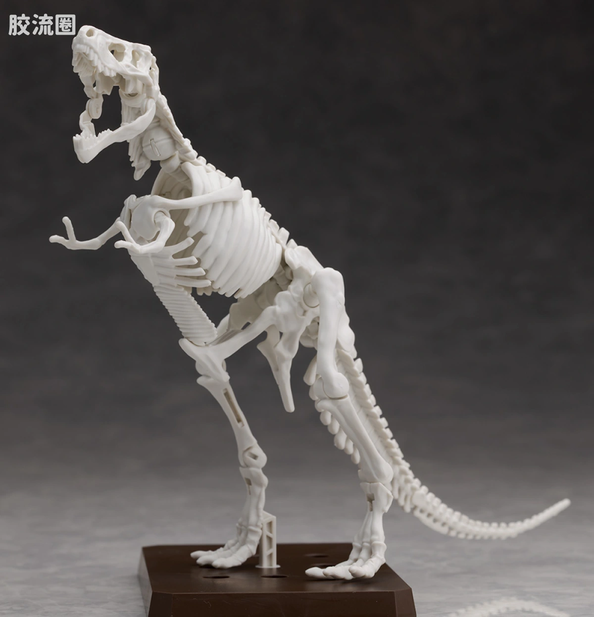 万代综合拼装模型系列 Plannosaurus 霸王龙1915 - 图片