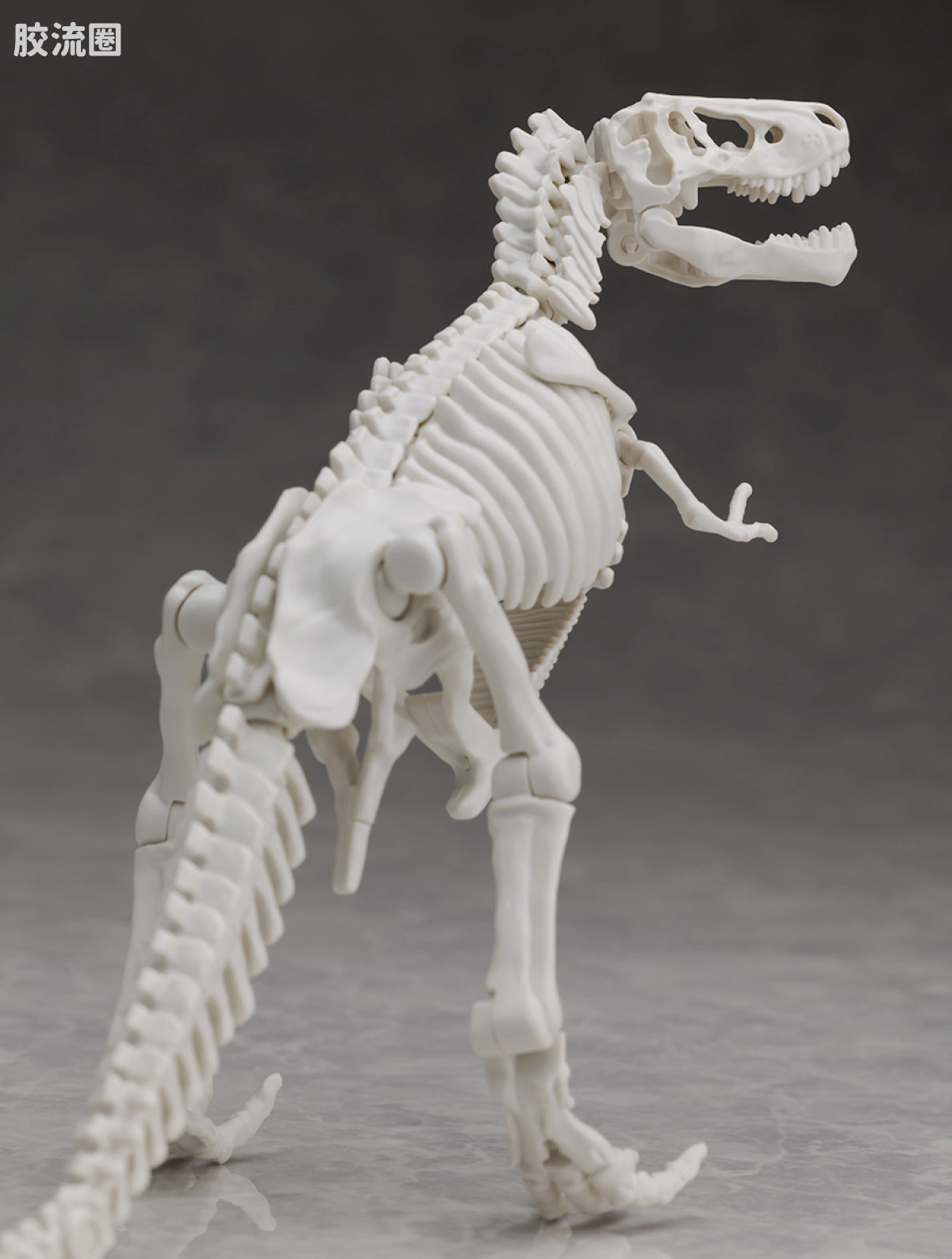 万代综合拼装模型系列 Plannosaurus 霸王龙1915 - 图片
