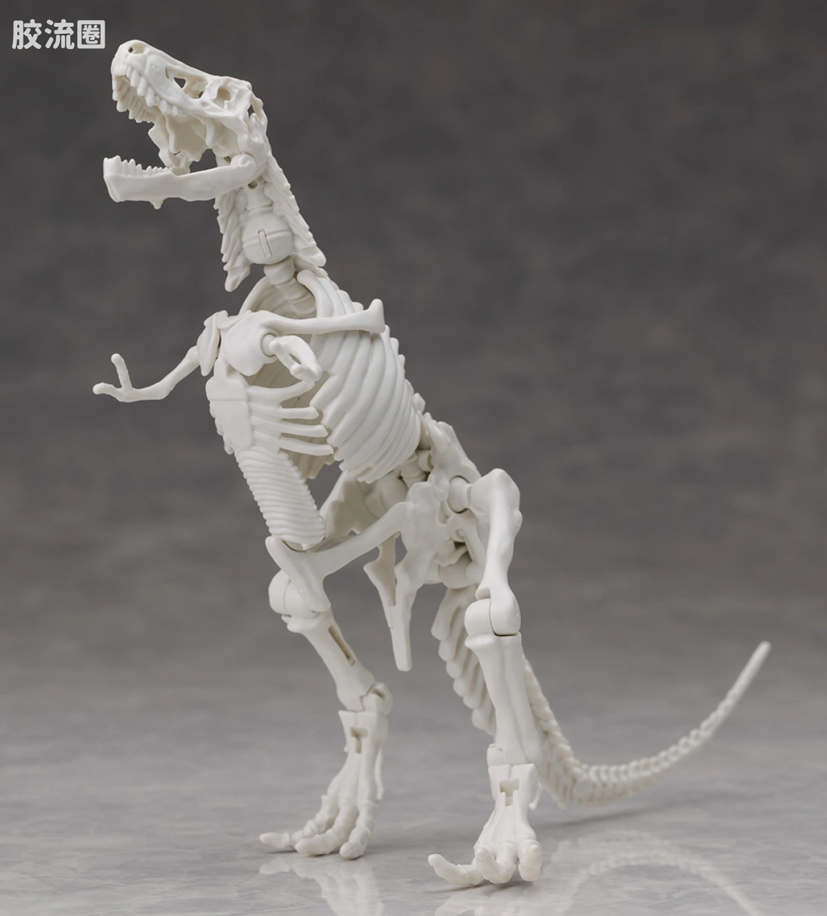 万代综合拼装模型系列 Plannosaurus 霸王龙1915 - 图片