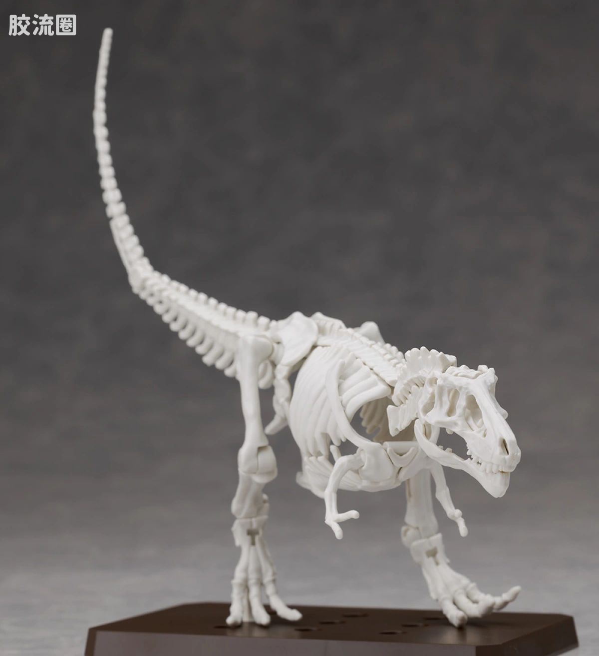 万代综合拼装模型系列 Plannosaurus 霸王龙1915 - 图片