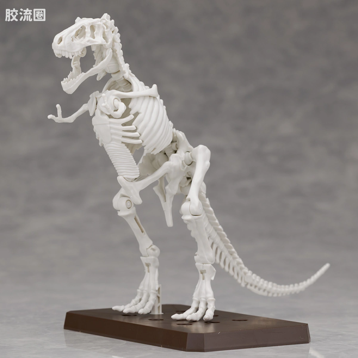 万代综合拼装模型系列 Plannosaurus 霸王龙1915 - 图片