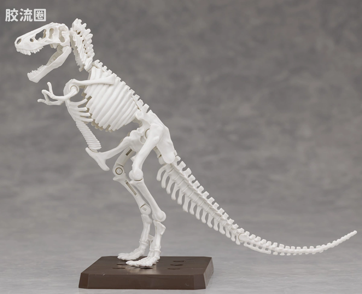 万代综合拼装模型系列 Plannosaurus 霸王龙1915 - 图片