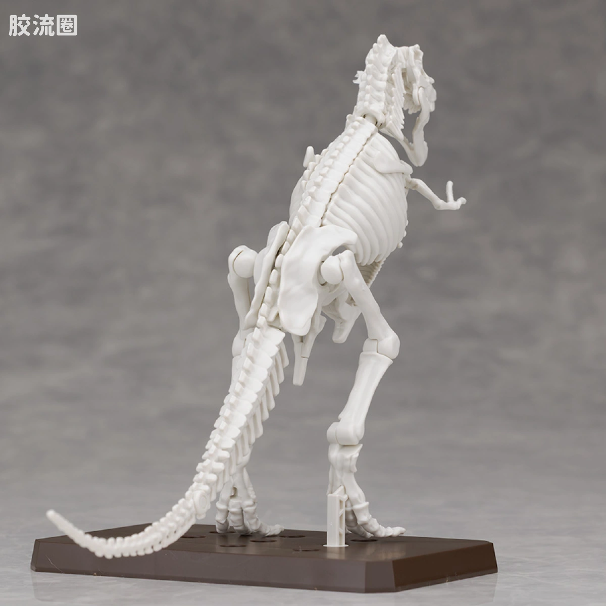万代综合拼装模型系列 Plannosaurus 霸王龙1915 - 图片