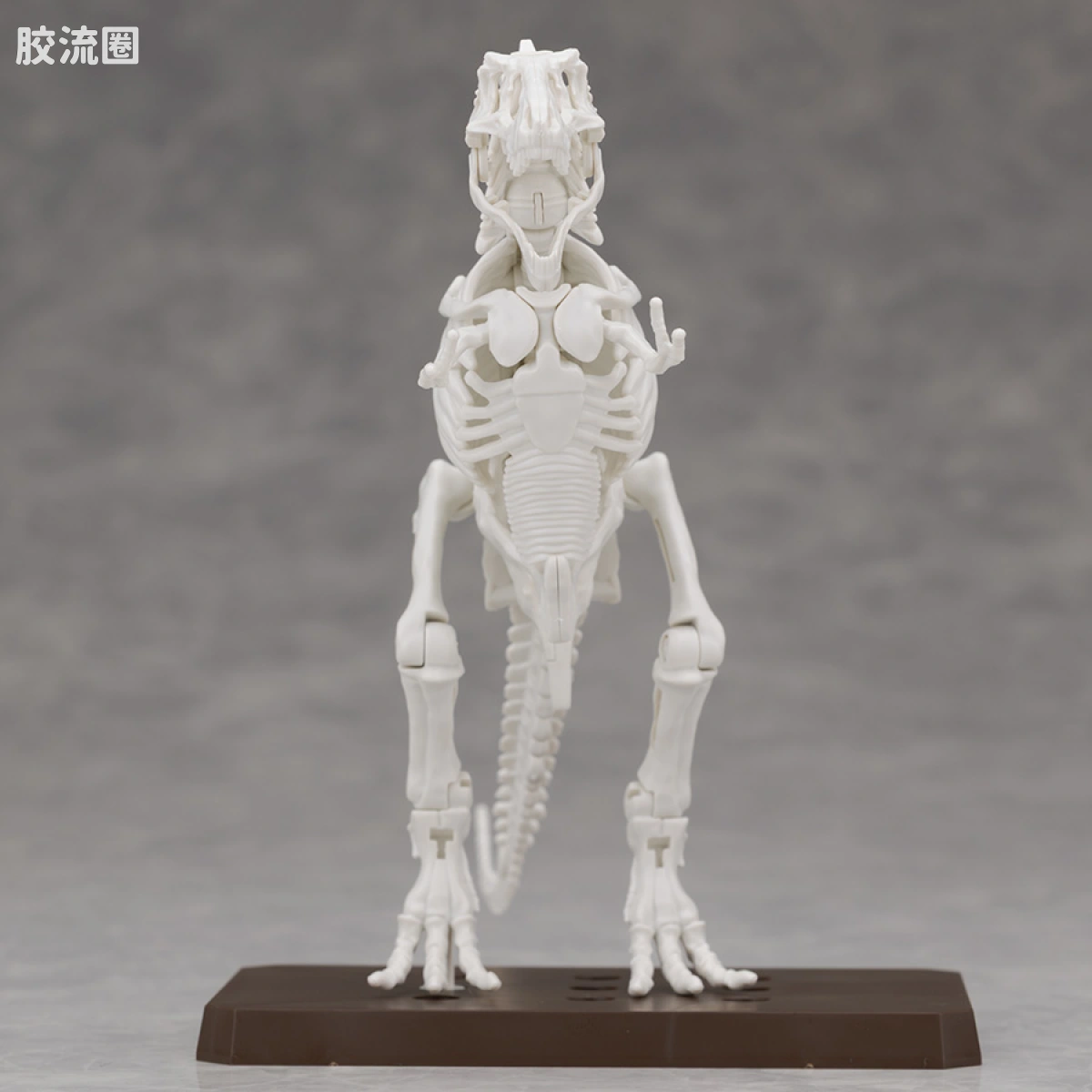 万代综合拼装模型系列 Plannosaurus 霸王龙1915 - 图片