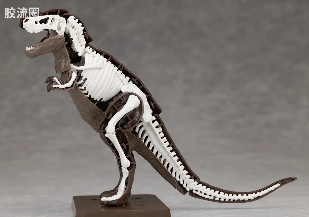 万代综合拼装模型系列 Plannosaurus 霸王龙1915 - 图片