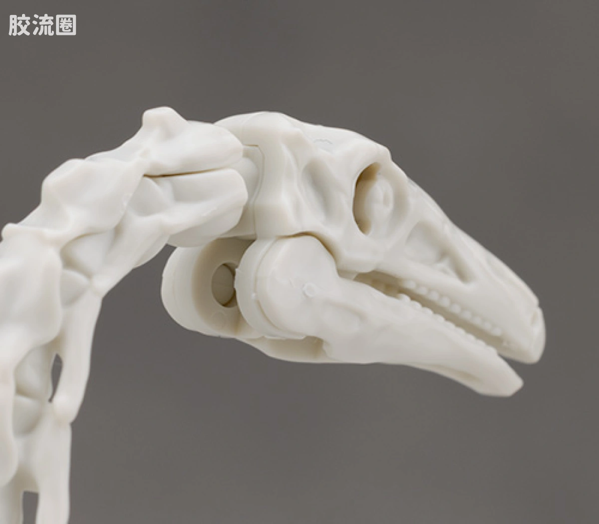 万代综合拼装模型系列 Plannosaurus 镰刀龙 - 图片