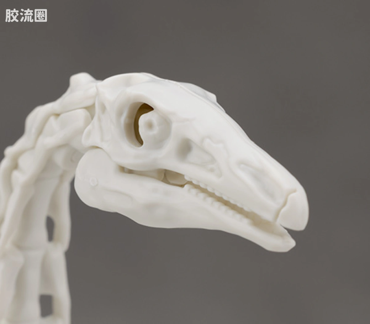 万代综合拼装模型系列 Plannosaurus 镰刀龙 - 图片