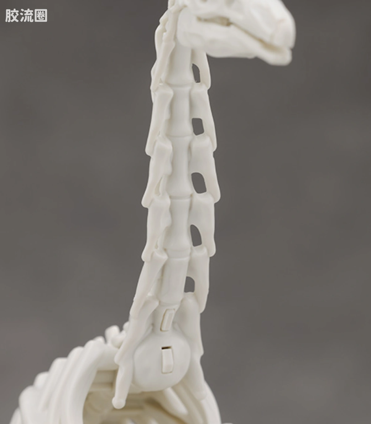 万代综合拼装模型系列 Plannosaurus 镰刀龙 - 图片