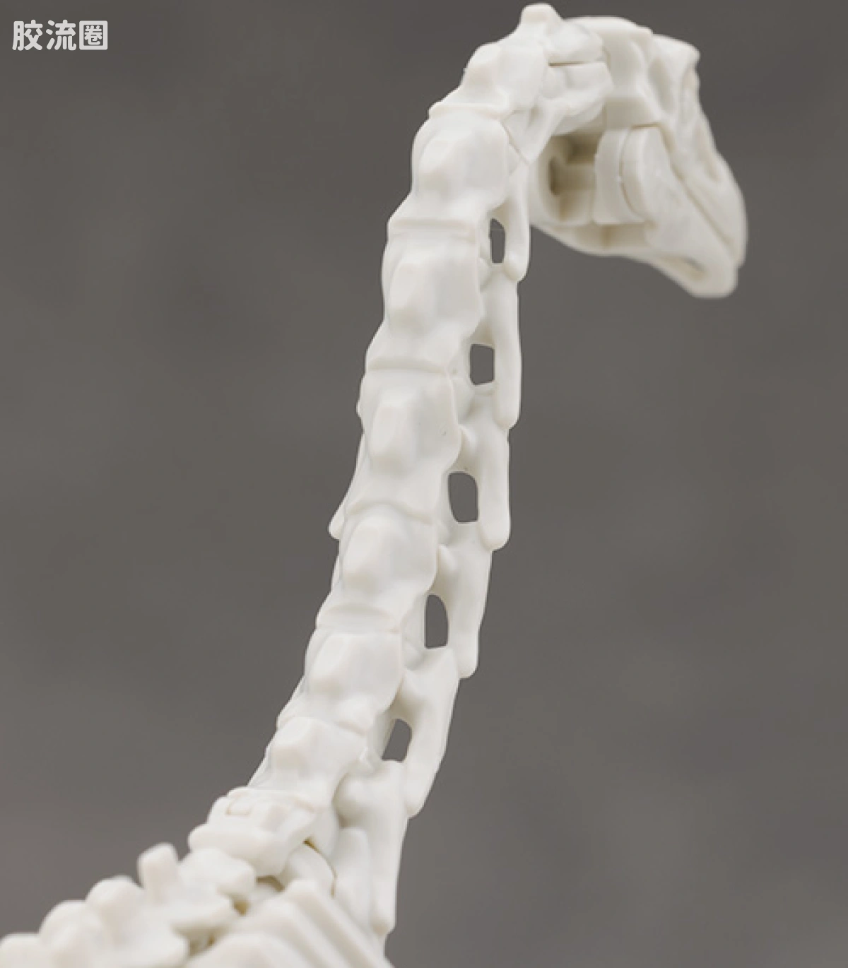 万代综合拼装模型系列 Plannosaurus 镰刀龙 - 图片