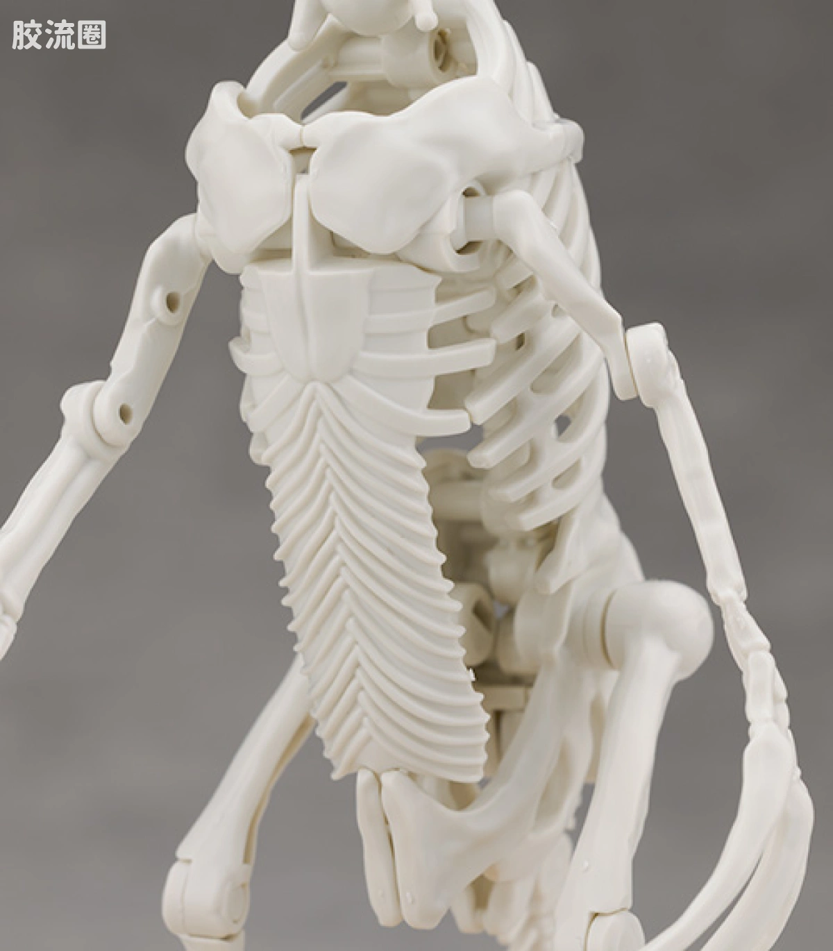 万代综合拼装模型系列 Plannosaurus 镰刀龙 - 图片