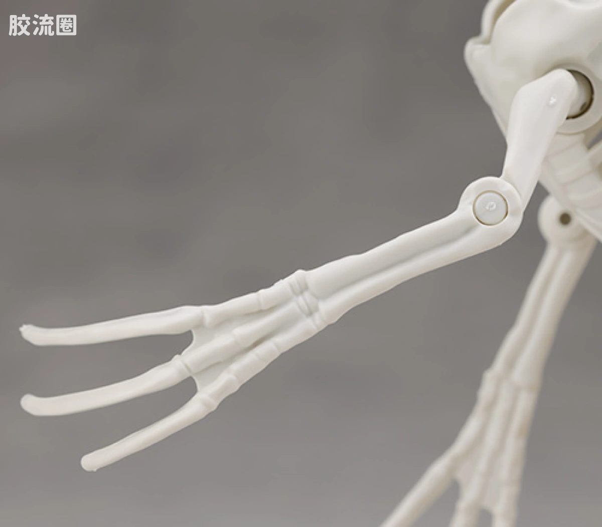 万代综合拼装模型系列 Plannosaurus 镰刀龙 - 图片