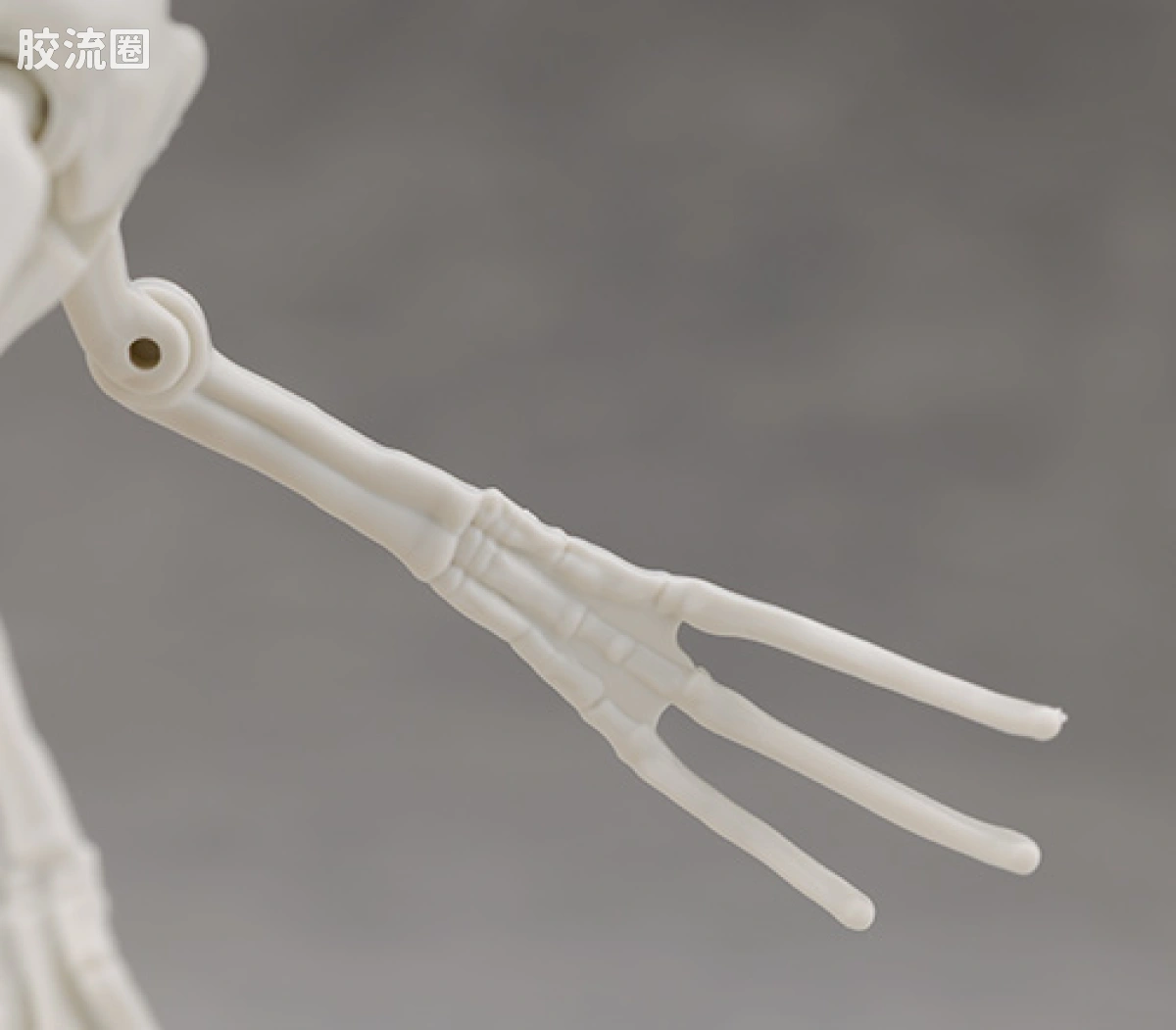 万代综合拼装模型系列 Plannosaurus 镰刀龙 - 图片
