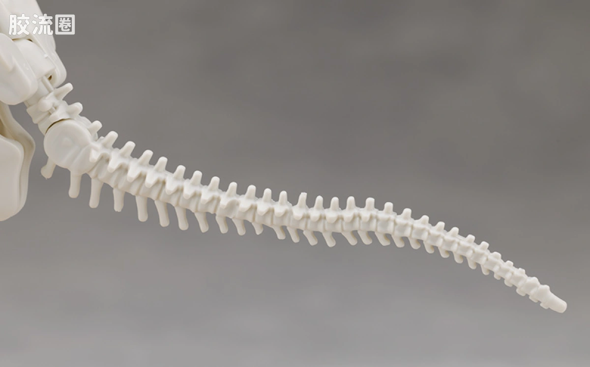 万代综合拼装模型系列 Plannosaurus 镰刀龙 - 图片