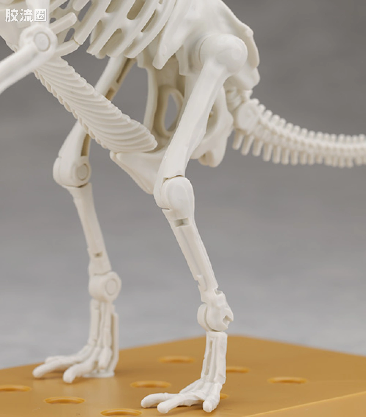 万代综合拼装模型系列 Plannosaurus 镰刀龙 - 图片