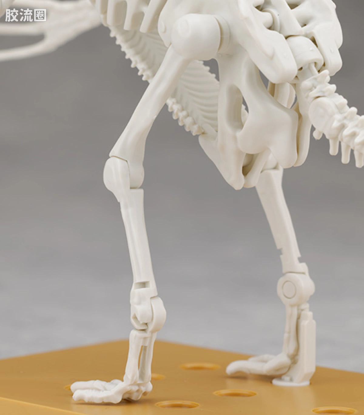 万代综合拼装模型系列 Plannosaurus 镰刀龙 - 图片